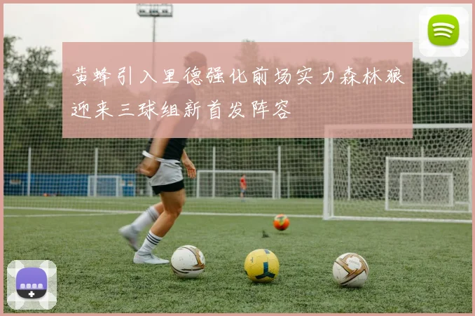 黄蜂引入里德强化前场实力森林狼迎来三球组新首发阵容